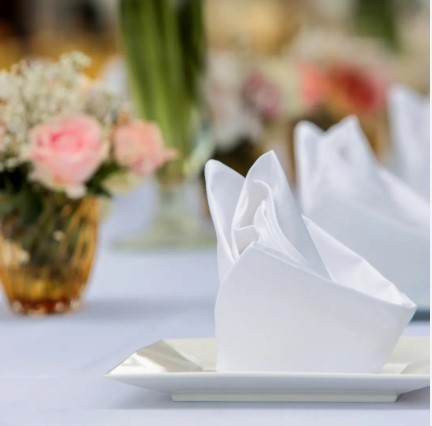 Party Printed Paper Napkins