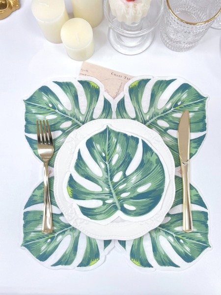 Furong Disposable Party Napkins for Fresh Storage